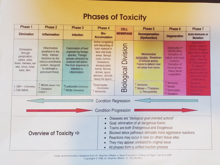 A diagram showing the phases of toxicity leading to disease.